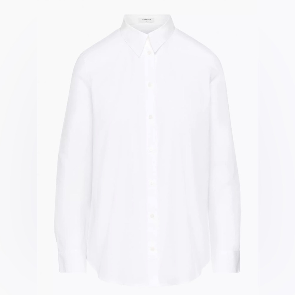 Aritzia Babaton classic button up